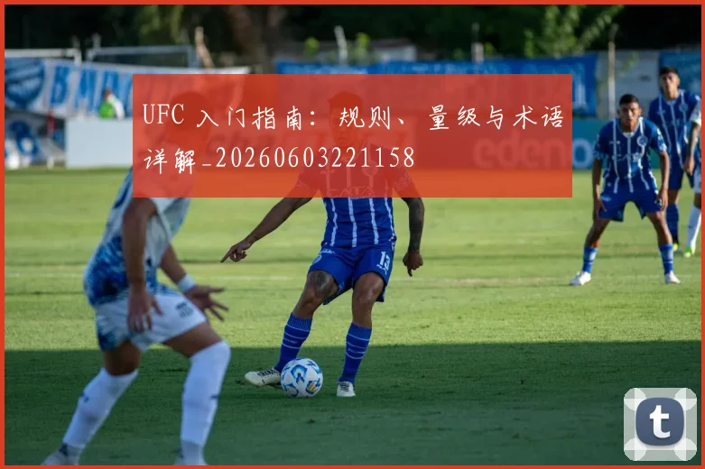 UFC 入门指南：规则、量级与术语详解_20260603221158