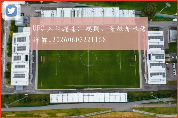 UFC 入门指南:规则、量级与术语详解_20260603221158