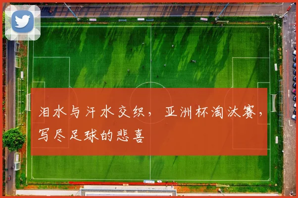泪水与汗水交织，亚洲杯淘汰赛，写尽足球的悲喜