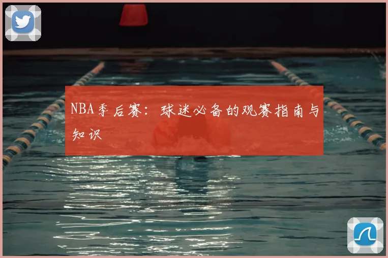 NBA季后赛：球迷必备的观赛指南与知识