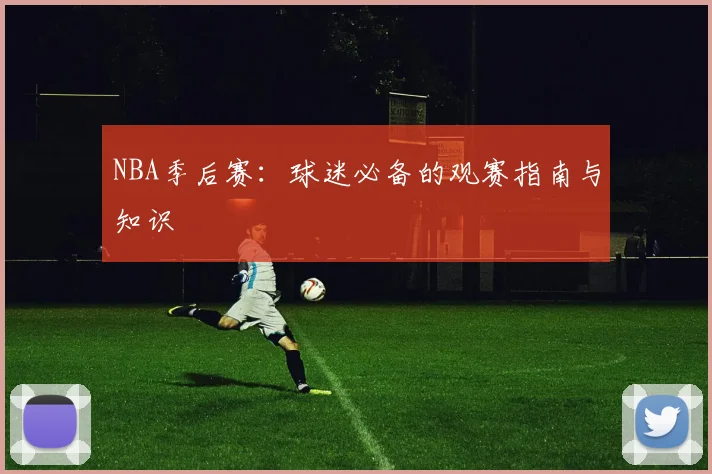 NBA季后赛：球迷必备的观赛指南与知识