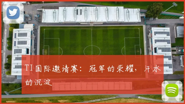 TI国际邀请赛：冠军的荣耀，汗水的沉淀