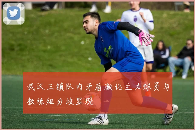 武汉三镇队内矛盾激化主力球员与教练组分歧显现