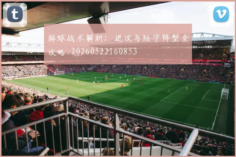 排球战术解析：进攻与防守阵型全攻略_20260522160853